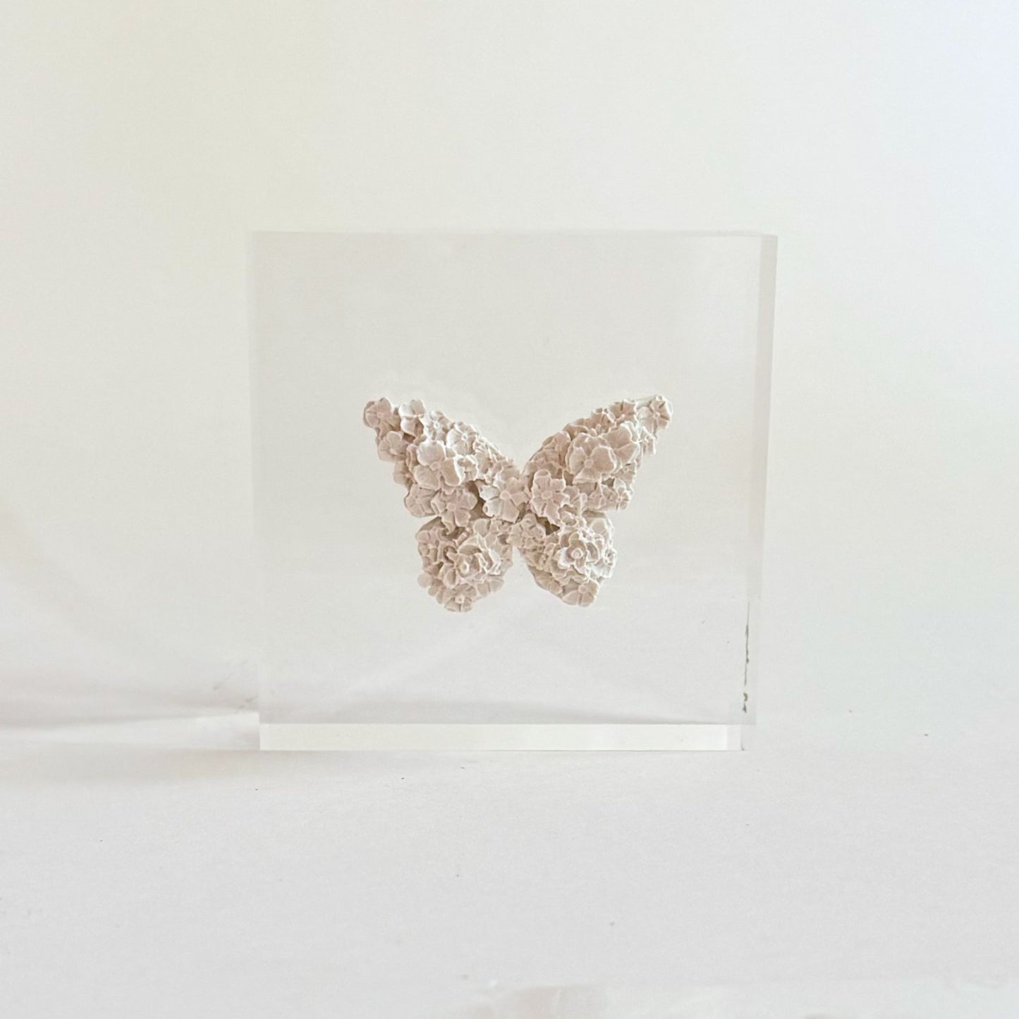 3x3 Butterfly Intaglio Acrylic