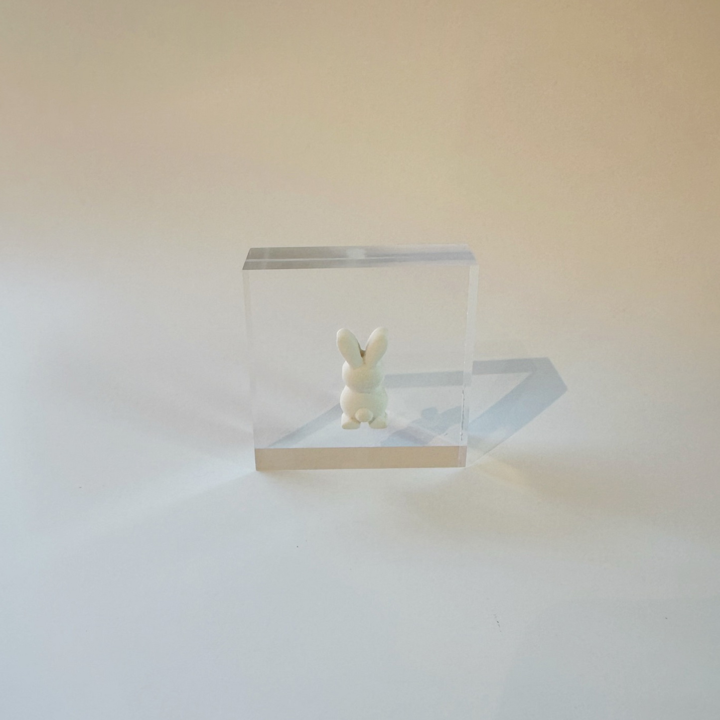 3x3 Acrylic - Bunny Butt Intaglio