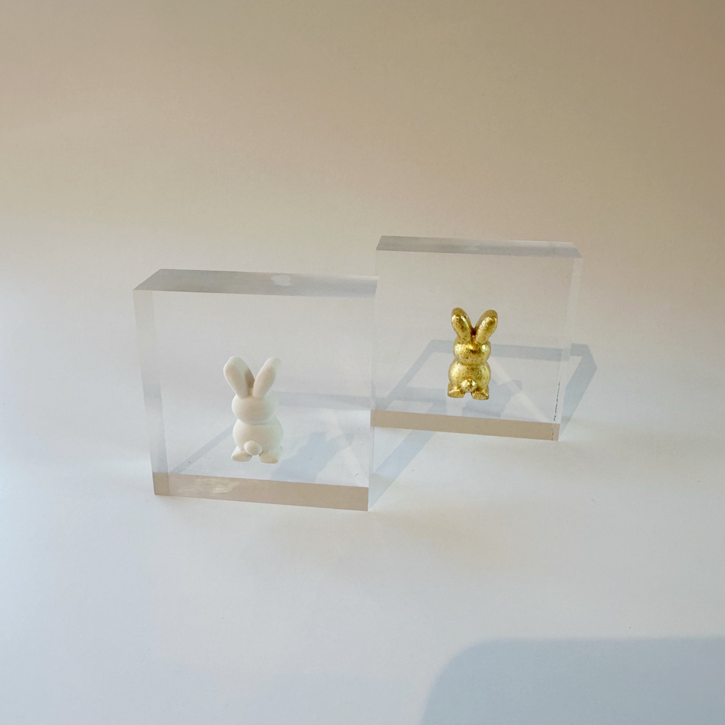 3x3 Acrylic - Bunny Butt Intaglio